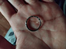 Review photo for zo om